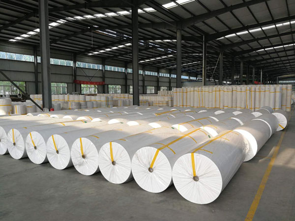 双湖狭缝式涤纶纺粘无纺布